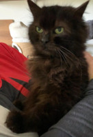 /album/14-03-2026/whatsapp-image-2026-03-13-at-16-35-15-3-jpeg/